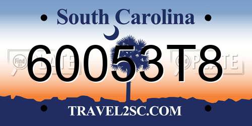 60053T8 South Carolina License Plate