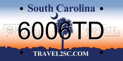 6006TD South Carolina License Plate