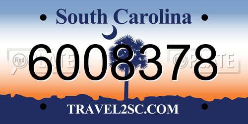 6008378 South Carolina License Plate