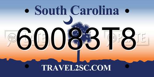 60083T8 South Carolina License Plate