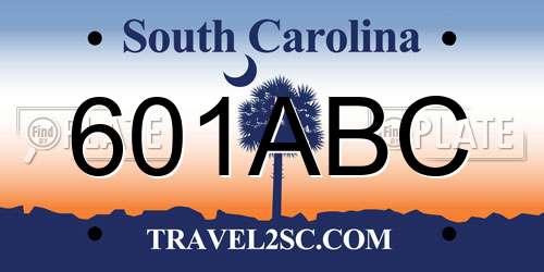 601ABC South Carolina License Plate