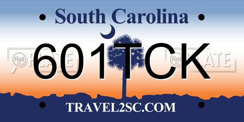 601TCK South Carolina License Plate