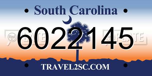 6022145 South Carolina License Plate