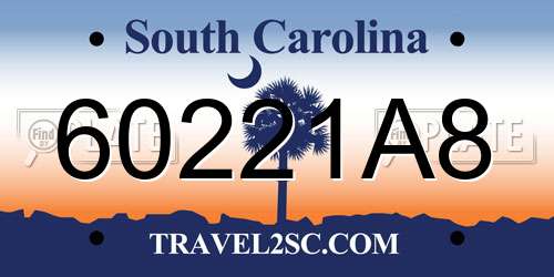 60221A8 South Carolina License Plate