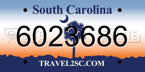 6023686 South Carolina License Plate