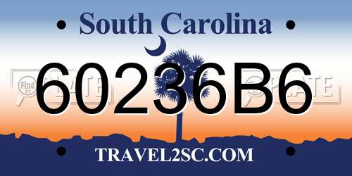 60236B6 South Carolina License Plate