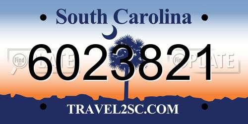 6023821 South Carolina License Plate