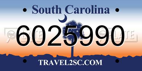 6025990 South Carolina License Plate