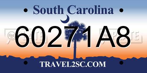 60271A8 South Carolina License Plate