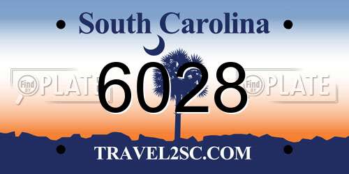 6028 South Carolina License Plate