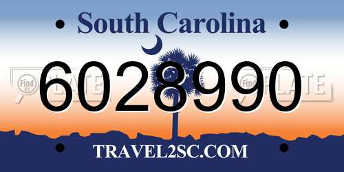 6028990 South Carolina License Plate