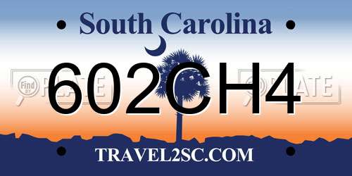 602CH4 South Carolina License Plate