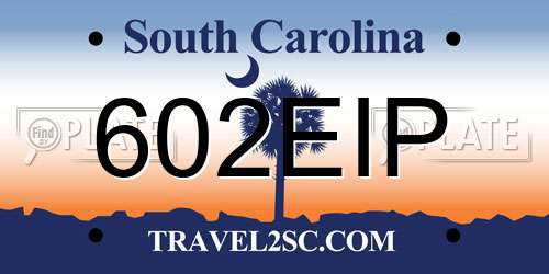 602EIP South Carolina License Plate