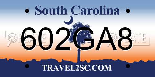 602GA8 South Carolina License Plate