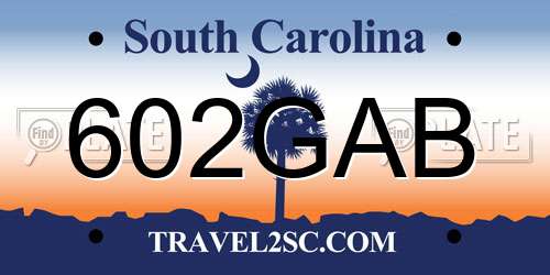 602GAB South Carolina License Plate