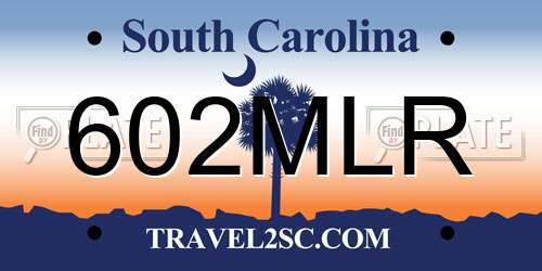 602MLR South Carolina License Plate