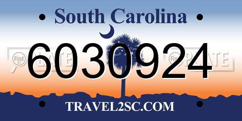 6030924 South Carolina License Plate
