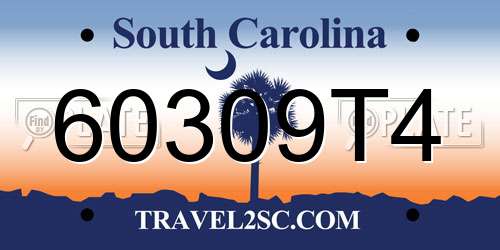 60309T4 South Carolina License Plate