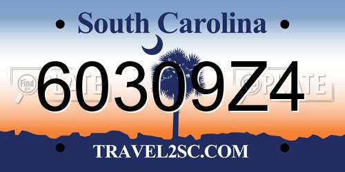60309Z4 South Carolina License Plate