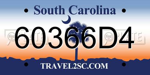 60366D4 South Carolina License Plate