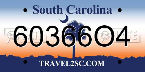 60366O4 South Carolina License Plate