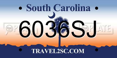 6036SJ South Carolina License Plate