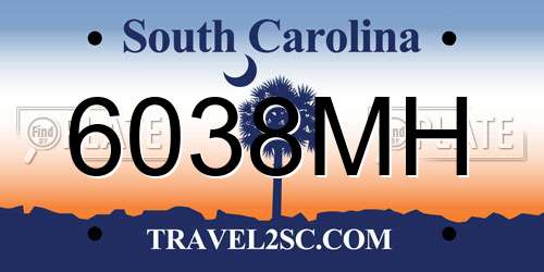 6038MH South Carolina License Plate