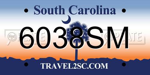 6038SM South Carolina License Plate