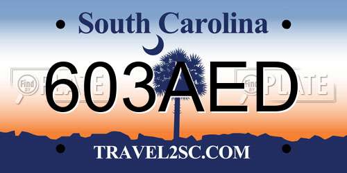 603AED South Carolina License Plate
