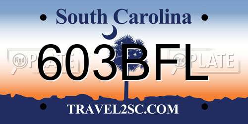 603BFL South Carolina License Plate