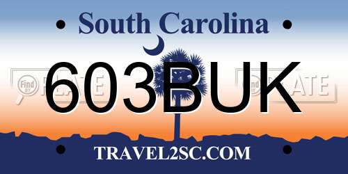 603BUK South Carolina License Plate