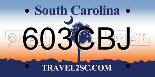 603CBJ South Carolina License Plate
