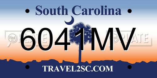6041MV South Carolina License Plate