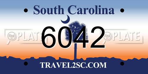 6042 South Carolina License Plate