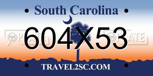 604X53 South Carolina License Plate