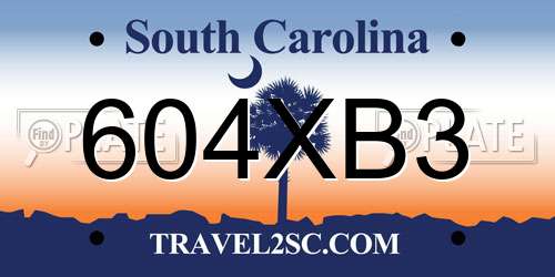 604XB3 South Carolina License Plate