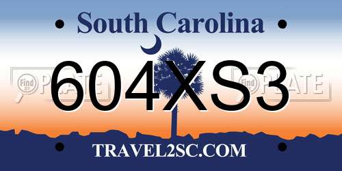 604XS3 South Carolina License Plate