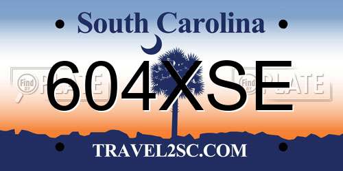 604XSE South Carolina License Plate