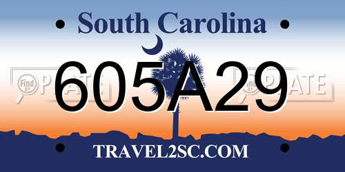 605A29 South Carolina License Plate