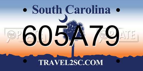 605A79 South Carolina License Plate