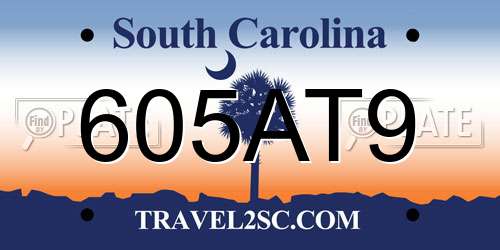 605AT9 South Carolina License Plate