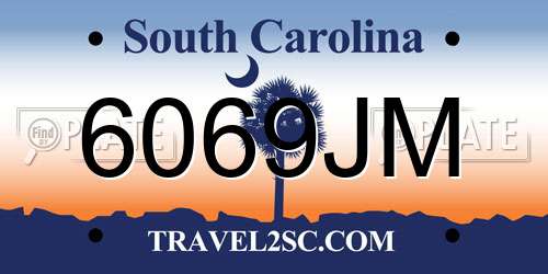 6069JM South Carolina License Plate