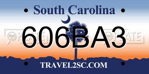 606BA3 South Carolina License Plate
