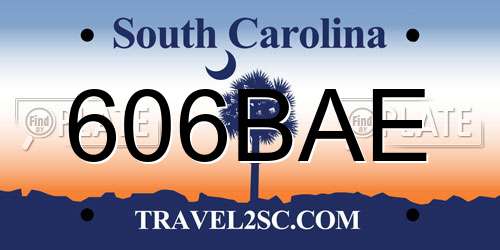 606BAE South Carolina License Plate