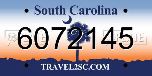 6072145 South Carolina License Plate