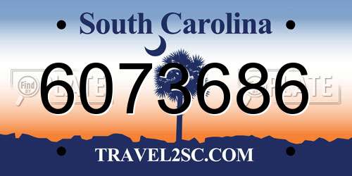 6073686 South Carolina License Plate