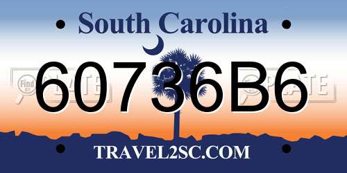60736B6 South Carolina License Plate