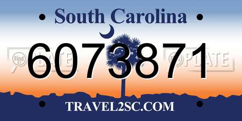 6073871 South Carolina License Plate
