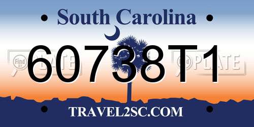 60738T1 South Carolina License Plate