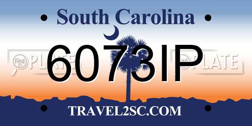 6073IP South Carolina License Plate